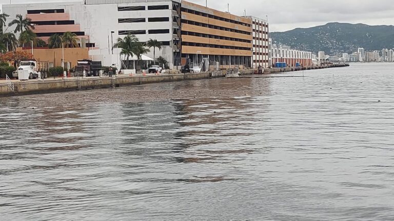 La Promotora de Playas de Guerrero asegura que las manchas observadas corresponden a lirio acuático y no a sargazo