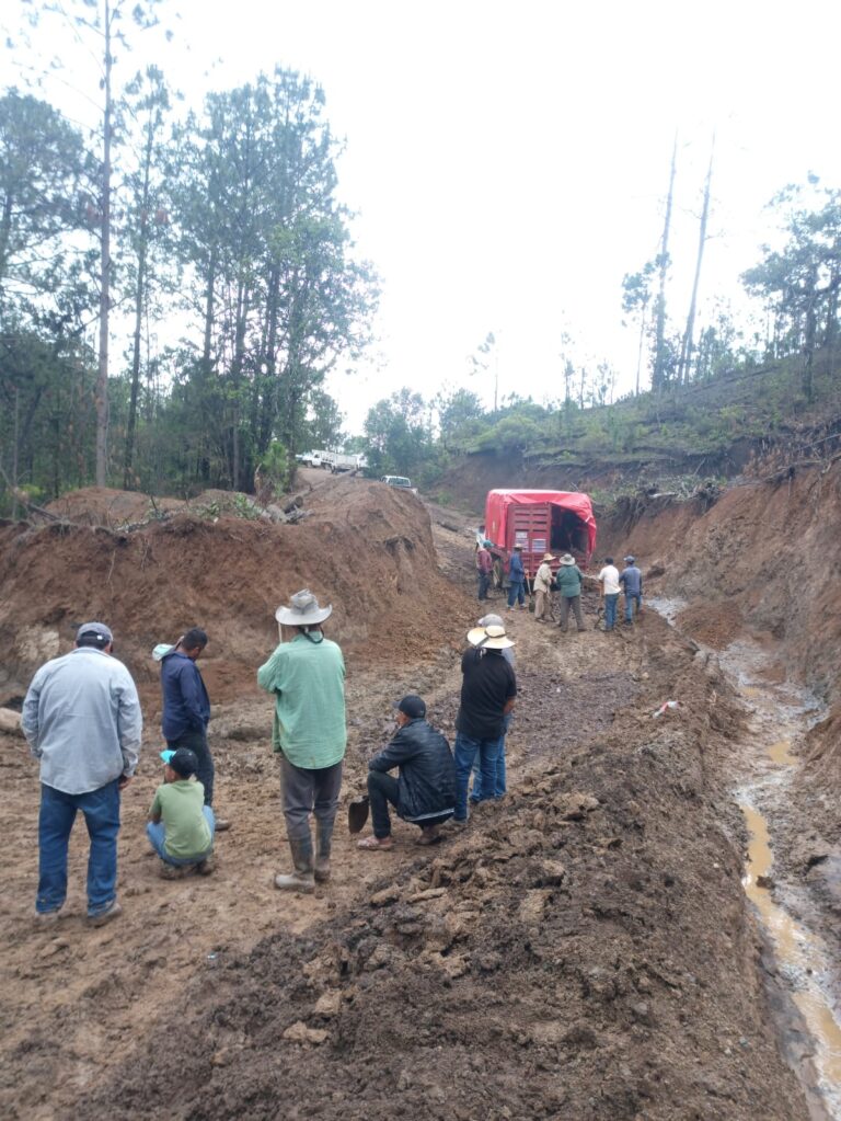 Con sus propias manos y herramientas, pobladores de la Sierra de Guerrero abren caminos intransitables
