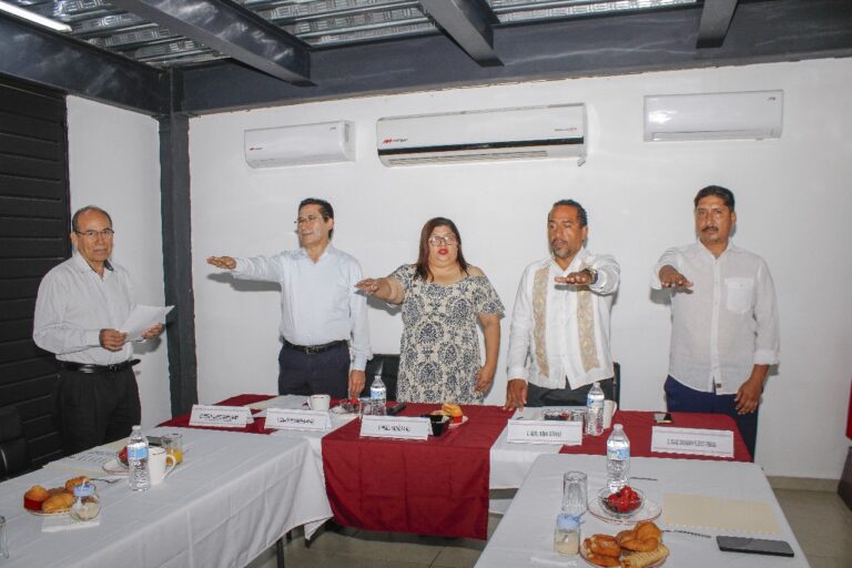 Micaela Cabañas presidirá el comité promotor del Consejo Consultivo Ciudadano de RTG