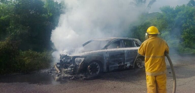 Incendio devora un auto; un supuesto cortocircuito sería la causa