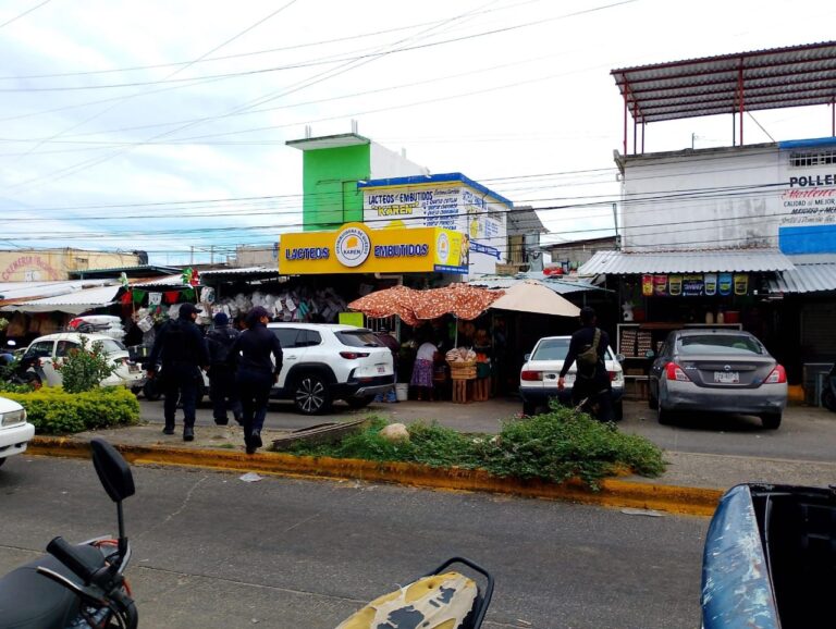 Operativo interinstitucional refuerza seguridad en el Mercado Central de Acapulco