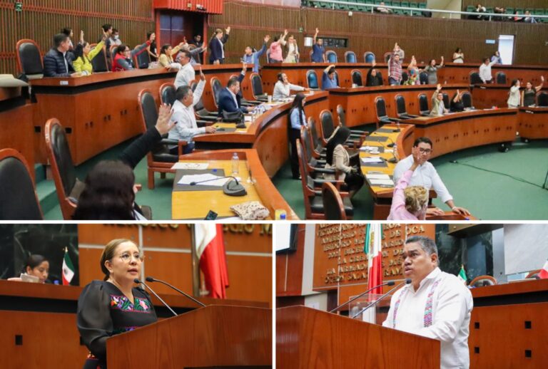 Aprueba el Congreso reforma para reconocer la “discapacidad intelectual” y que reciba la atención adecuada