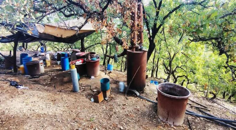 Autoridades federales y estatales desmantelan laboratorio de drogas en Olinalá, en la región de la Montaña