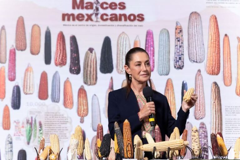 Sin maíz no hay país: Secretaría de Medio Ambiente y Recursos Naturales