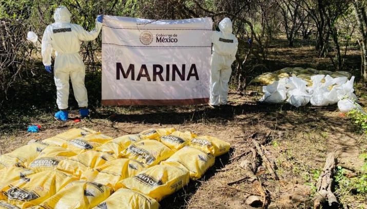 Suman mil 564 laboratorios del narco desmantelados gracias a estrategia de seguridad: Harfuch