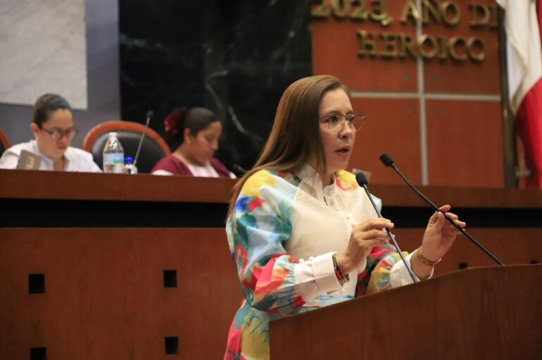 Propone diputada incluir «Redes Sociales» en la Ley para reconocer y enfrentar riesgos contra la niñez y adolescentes