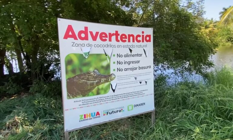 Colocan letreros en la laguna Paraíso en Zihuatanejo ante ataques de cocodrilos