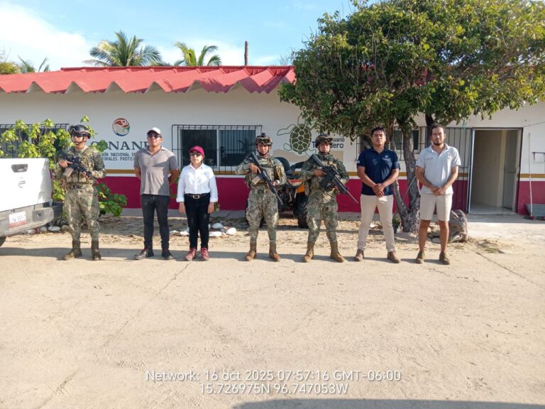 Personal naval brindó seguridad durante la quinta arribazón de tortugas marinas en inmediaciones de Escobilla, Oaxaca