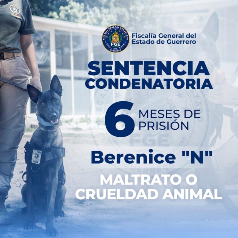 FGE Guerrero obtiene sentencia condenatoria en contra de una mujer por maltrato animal en Ometepec