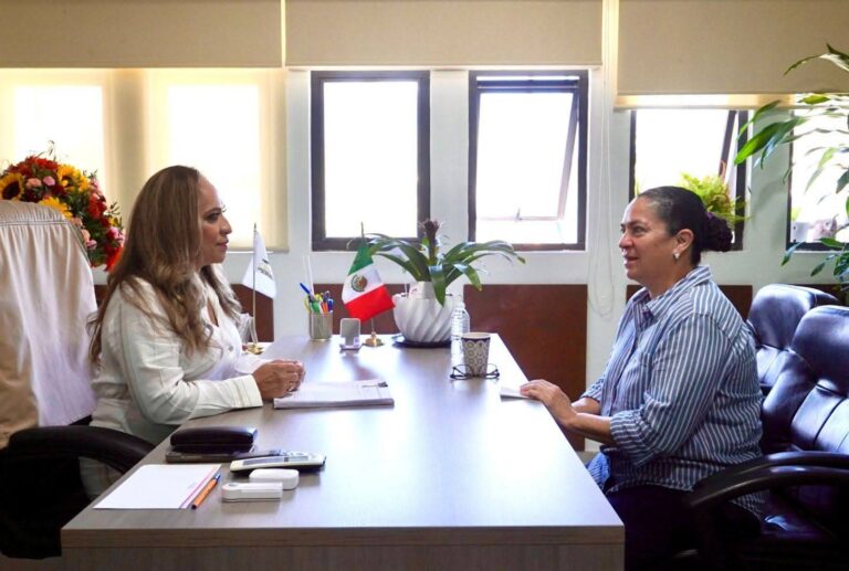 La presidenta de la CDHEG se reúne con diputada local para impulsar acciones conjuntas en favor de los derechos humanos