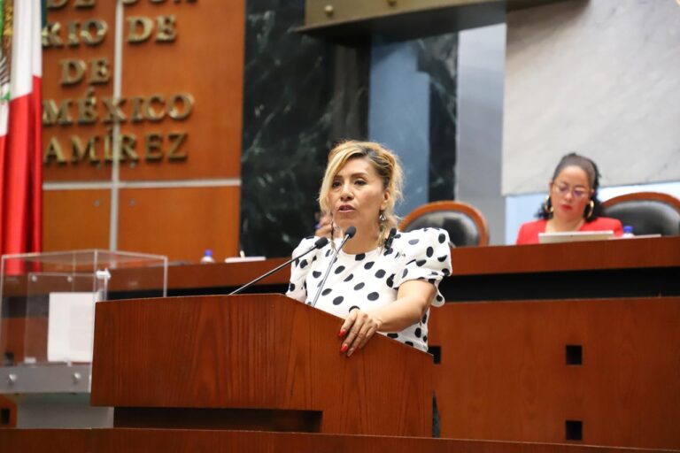 Diputada propone ampliar unidades médicas y Ley de Declaración Especial de Ausencia por desaparición de personas