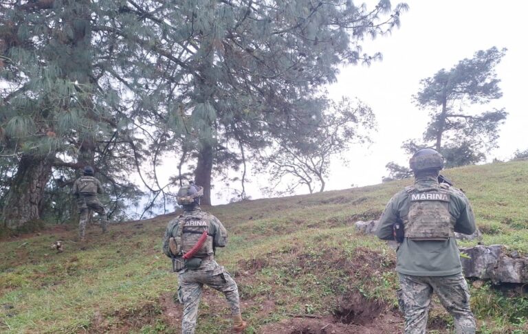 Marina informa resultados referentes a la localización e inhabilitación de Tomas Clandestina de Hidrocarburo durante el mes de octubre, en Puebla