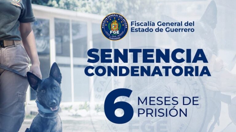 FGEGuerrero obtiene sentencia condenatoria en contra de una mujer por maltrato animal en Ometepec