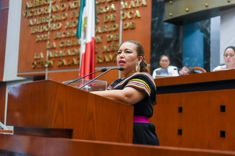 Propone diputada trámite digital y gratuito de constancia de no deudor alimentario