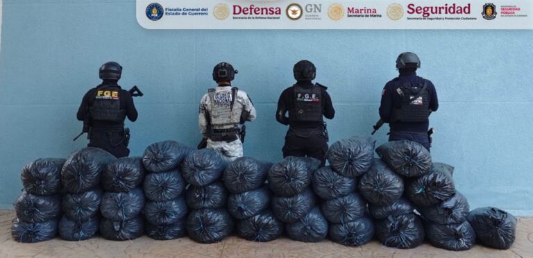 Aseguran DEFENSA, GN, FGE Guerrero, SSPC y Policía Estatal más de 170 kilogramos de marihuana en Quechultenango