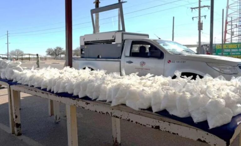 Aseguran más de 200 kg de metanfetamina; desmantelan áreas de producción en Sonora y Sinaloa