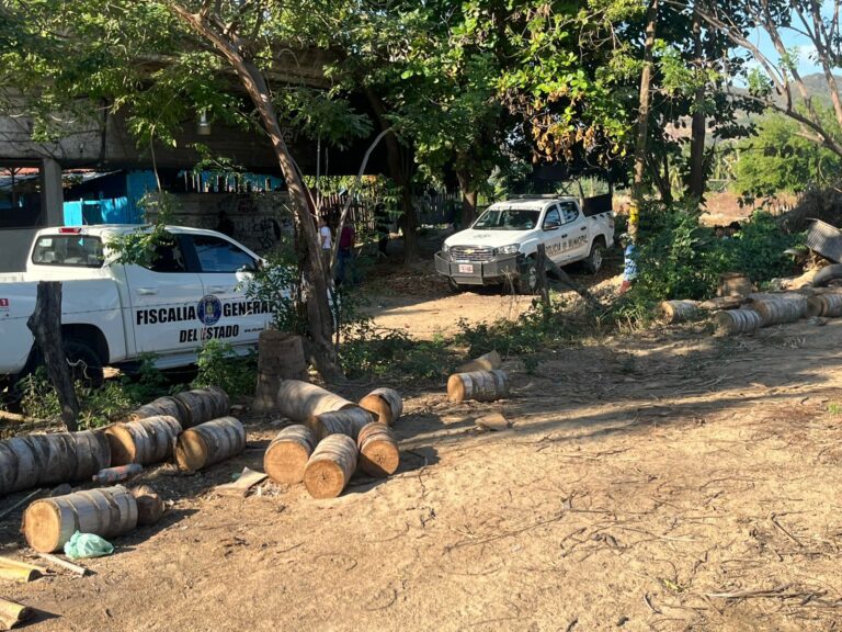 Encuentran el cadáver de una mujer en Tecpan, presentaba orificios de bala en la cabeza