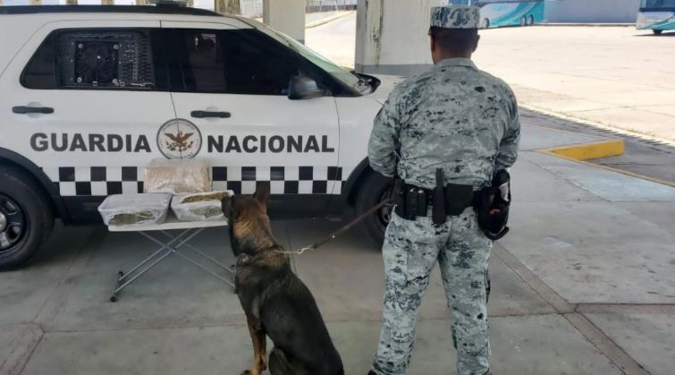 40% menos homicidios y reducción en delitos de alto impacto, según Gobierno Federal