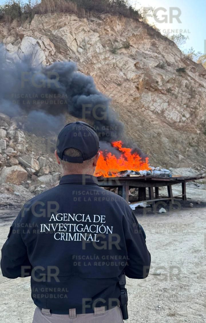 Incinera FGR y Marina más de 200 kilos de narcóticos y objetos del delito asegurados en Guerrero