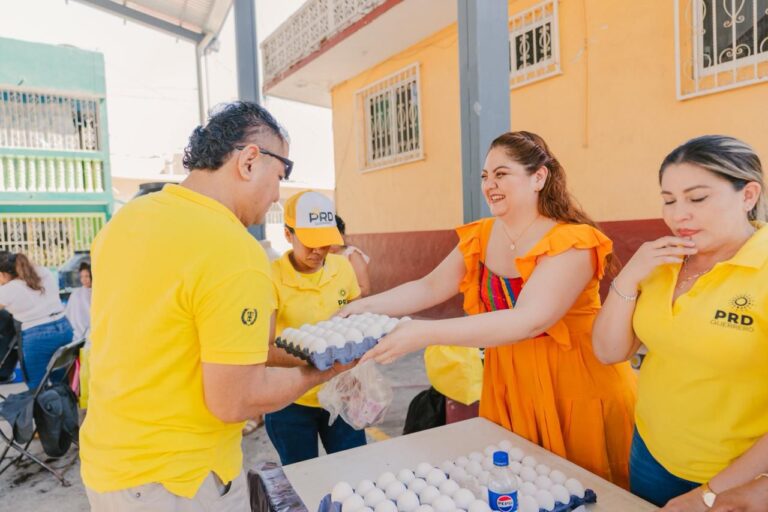 Erika Guillén refuerza trabajo territorial del PRD con alumbrado público y brigadas comunitarias en Acapulco