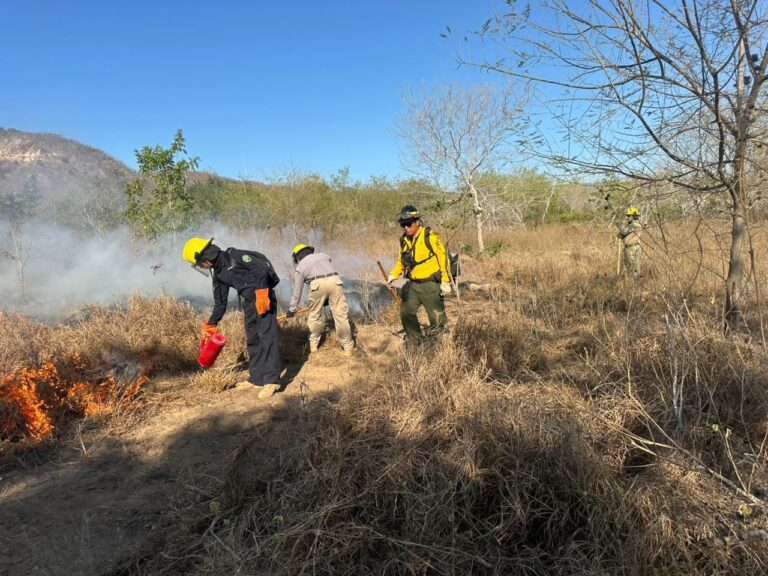 MARINA, CONANP y CONAFOR fortalecen coordinación interinstitucional mediante curso de “Manejo del Fuego” en Islas Marías