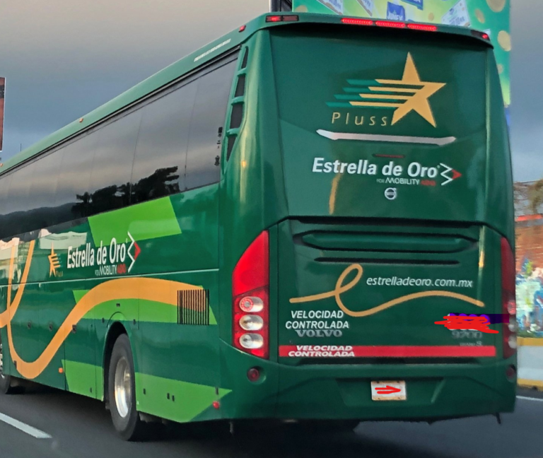 Ataque a Autobús de Pasajeros en Petatlán: Disparan contra Unidad de Estrella de Oro