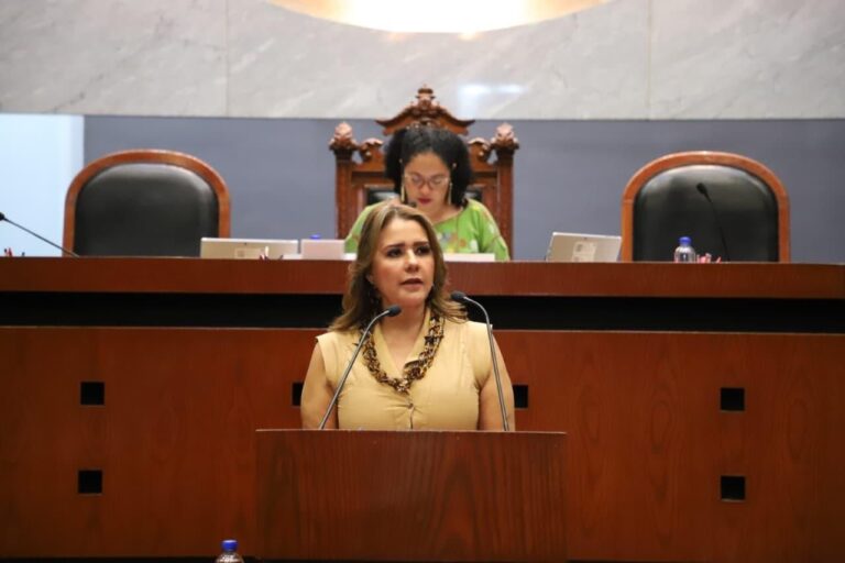 Propone diputada establecer plazo de seis meses para encargados de despacho en el Congreso