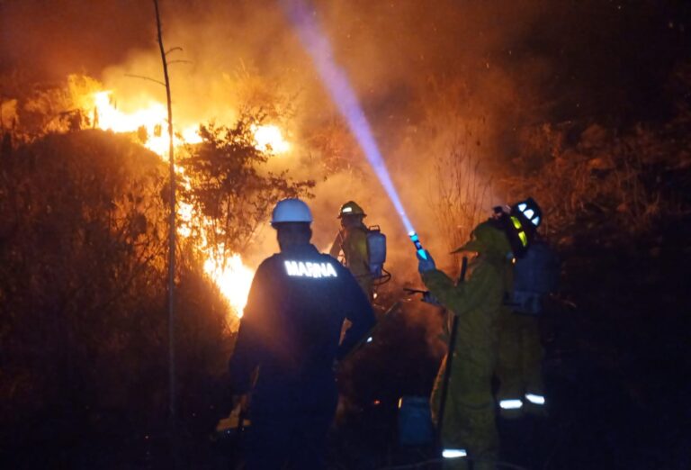 Marina brinda apoyo para combatir un incendio en inmediaciones de Zihuatanejo de Azueta, Guerrero