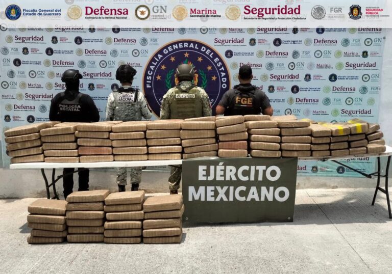 Decomisan fuerzas federales y estatales, más de 590 kilos de presunta marihuana en Acapulco