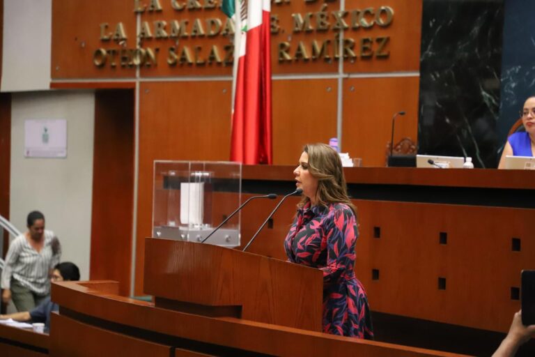 Presenta diputada la iniciativa «Ley Silla» en Guerrero
