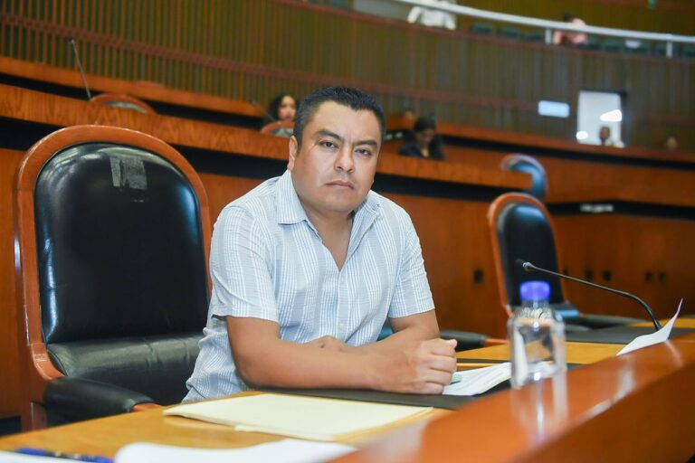 Plantean reformas para garantizar reposición de zonas verdes afectadas por construcción de obras