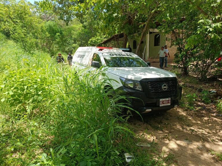 Localizan a dos hombres asesinados dentro de un colectivo en el Km21