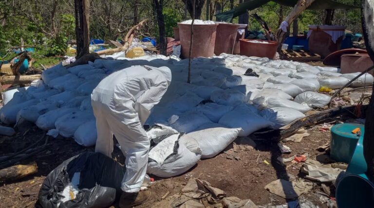 Golpe al narcotráfico: despliegan operativos en 15 estados y aseguran drogas, armas y precursores